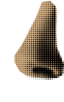 collage nose element png
