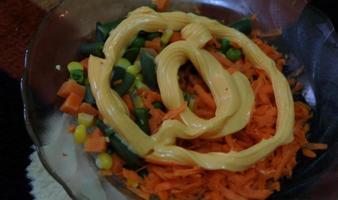 A plate of vegetable salad topped with spicy mayonnaise. photo