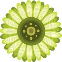 Green daisy flower vector illustration for graphic design and decorative element