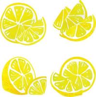 Watercolor lemon slices vector