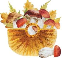 watercolor realistic autumn mushrooms harvest in basket vector