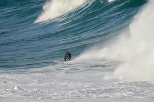 A surfer slides down a large wave in Sydney, Australia photo