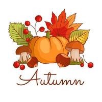 composición vegetal de otoño con calabaza, champiñones, hojas, bayas, castañas. bodegón de otoño con la temporada de cosecha de otoño. ilustración de vector plano de color aislado en un fondo blanco