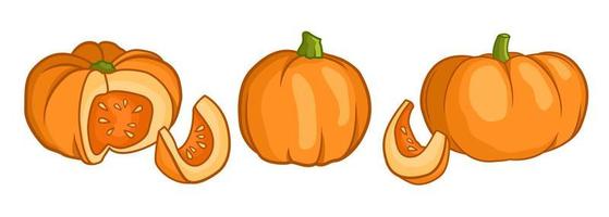 Pumpkin flat icons set. Sign kit of halloween. Thanksgiving pictogram collection farm harvest, closeup squash, vegetable. Simple pumpkin cartoon colorful icon symbol isolated white vector