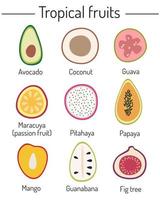 Hand-drawn fruits. Natural tropical fruits. Vegan cuisine, organic fruits or vegetarian dishes. A set of illustrations of vector isolated icons