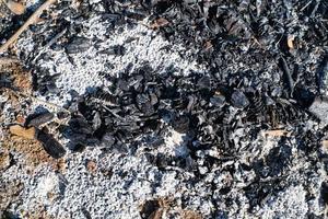 texture of burnt embers in a vegetable garden during an autumn evening photo