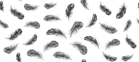 Feathers on white background. Hand drawn sketch style. vector