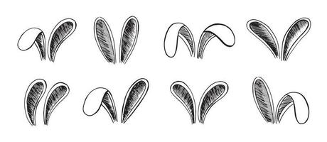 Set of rabbits's ears. Hand drawn illustration. vector