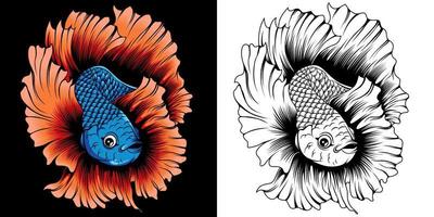 betta fish illustration in detailed style vector