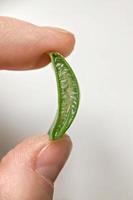 Close-up of a piece of aloe plant with gel inside. Alternative medicine. Collection of aloe juice, for the treatment of skin diseases. photo