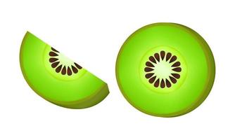 illustration of kiwi fruit with mesh technique vector