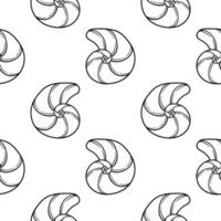 seashell hand drawn seamless pattern vector