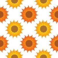sunflower seamless pattern vector