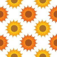 sunflower seamless pattern vector