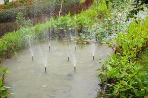 fountain with water lily or lotus flower in the garden pond photo