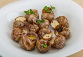 Escargot on the plate and wooden background photo