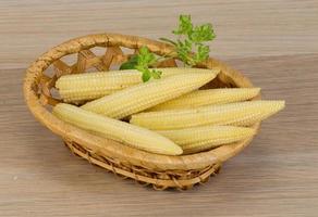 Baby corn in a basket on wooden background photo