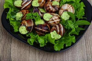 Escargot on the plate and wooden background photo