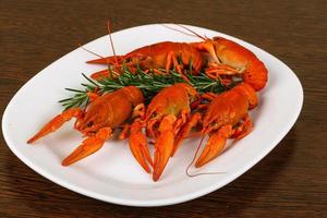 Crayfish on the plate and wooden background photo