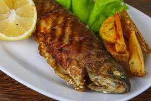 Grilled trout on the plate and wooden background photo