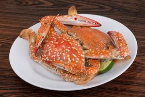 Boiled crabs on the plate and wooden background photo