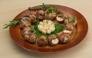 Escargot on the plate and wooden background photo