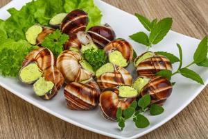 Escargot on the plate and wooden background photo