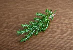 Rosemary branch on wooden background photo