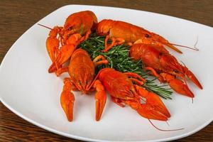 Crayfish on the plate and wooden background photo