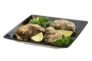 Fresh oyster on the plate and white background photo