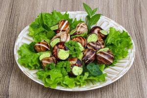 Escargot on the plate and wooden background photo