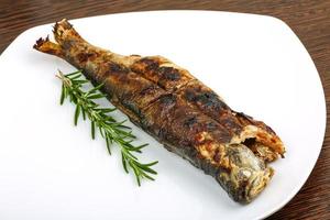 Grilled trout on the plate and wooden background photo