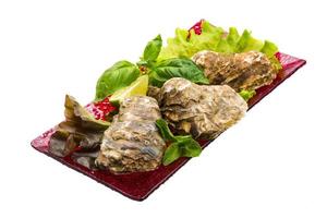 Fresh oyster in a bowl on white background photo