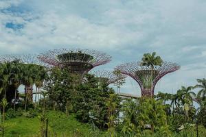 SINGAPORE, MAY 12, Gardens by the Bay on Mar 12, 2014 in Singapore. Gardens by the Bay was crowned World Building of the Year at the World Architecture Festival 2012