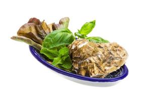 Fresh oyster in a bowl on white background photo