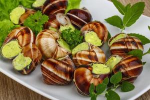 Escargot on the plate and wooden background photo