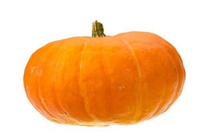 Ripe pumpkin on white background photo