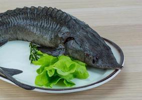 Raw strugeon on the plate and wooden background photo