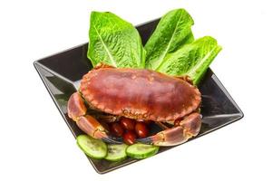 Raw crab on the plate and white background photo