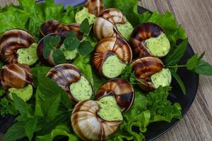 Escargot close up view photo