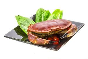 Raw crab on the plate and white background photo