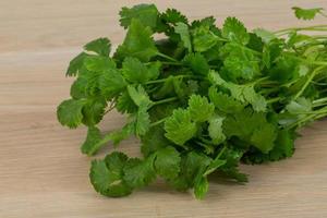 Coriander leaves on wooden background photo