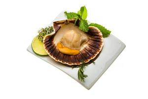 Scallop with asparagus, lime, mint and rosemary photo