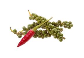 Kampot pepper on white background photo