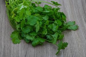 Coriander leaves on wooden background photo