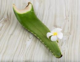 Aloe vera on wooden background photo