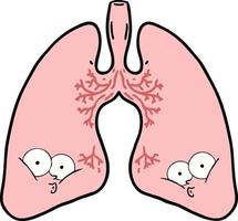 pulmones de dibujos animados de vector