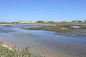 Flowing Tidal Marsh with Water and Marsh Grass photo