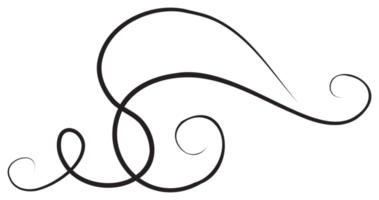 Calligraphic design element with black thin line. PNG with transparent background.