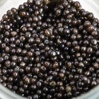 above view of black sturgeon caviar in glass jar photo